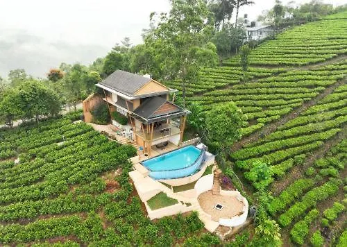 Indus Valley Vagamon